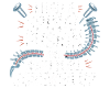 Spinal Fusion Humor Shirt