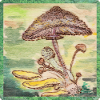 Pilze