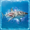 Requin de Transe