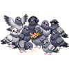Pigeon Lovers – Funny Pigeon Saying