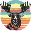 Moose at sunset with sunglasses