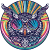 Owl Sunglasses Animal