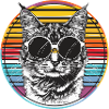 Cats in retro sunglasses look