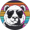 Panda Retro Sunglasses