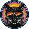 Rainbow-Katze mit Sonnenbrille
