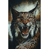 Wildcat in anger