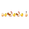 Evolution oeuf poussin poule darwin