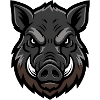 Wild boar head mascot, aggressive