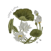 White Lotus: Zeshin’s Serenity  Japanese Botanical