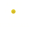 Happy People Play Pickleball