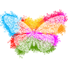 Papillon Zentangle