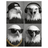 Aigle