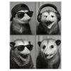 opossum