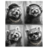 Roter Panda