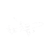 Père mécanicien aéronautique : Unique