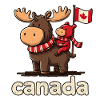 Canada mosses with a small companion