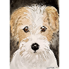 Chiot terrier,
