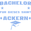Examen de licence réussi Licence 2026