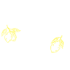 When Life Gives You Lemons Statement