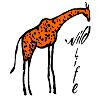 Girafe wildlife