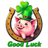 Lucky Pig with Shamrock