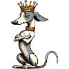 Whippet Windhund Whippets Windhundbesitzer
