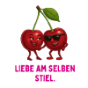 Kirschenpaar am selben Stiel