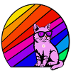 Regenbogenkatze mit Sonnenbrille