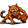 Orange Cat Dribbling Mascot
