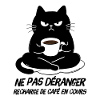 Black Cat Coffee Refill in Progress