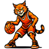 Basketball Cat Blaze