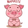 Namaste Zen Pig