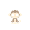 Marmoset