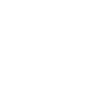 Marmoset