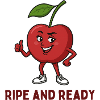 Cherry ripe and ready