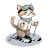 Katzen-Skistar im Pulverschnee