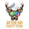 Party Team Après Ski