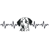 Dalmatian ECG Heartbeat