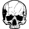 Skull Silhouette High Contrast