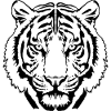Tiger Line Art