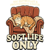 Sofa-Katze: Soft Life Only