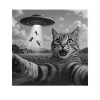 Cat Selfie UFO Tees Funny Cat