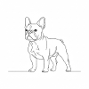 French Bulldog Line Art