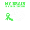 Brain injury stroke