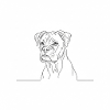 Chien Boxer