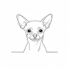 Chihuahua Lines Minimal