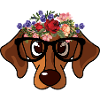 Niedliche Dackelkranz-Hundebrille