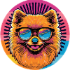 Pomeranian Rainbow Sunglasses