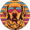 Sun Dog Retro Sunglasses