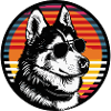 Husky sunset with sunglasses